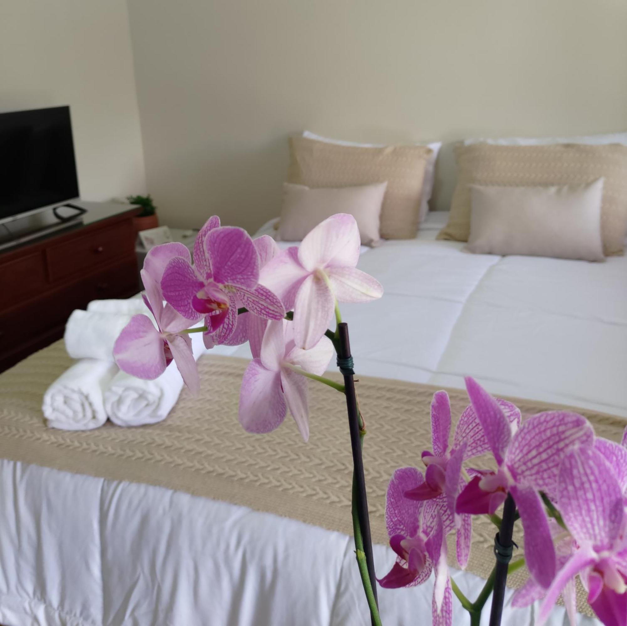 Hotel Flor De Lua Monte 3*